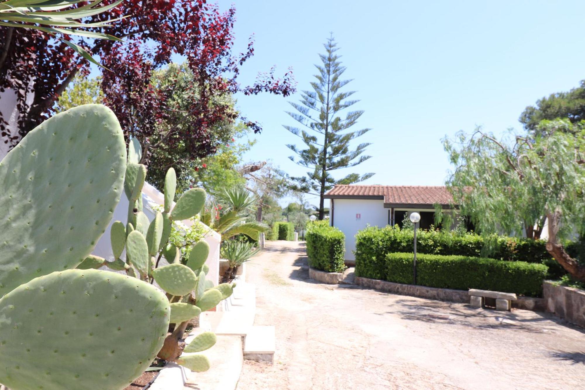 Villa Casa Cabernet Torre Santo Stefano Otranto Exterior foto